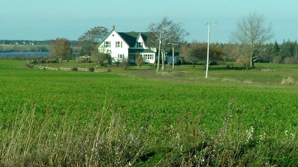 Lovely Green Gable Home Miscouche Exterior photo